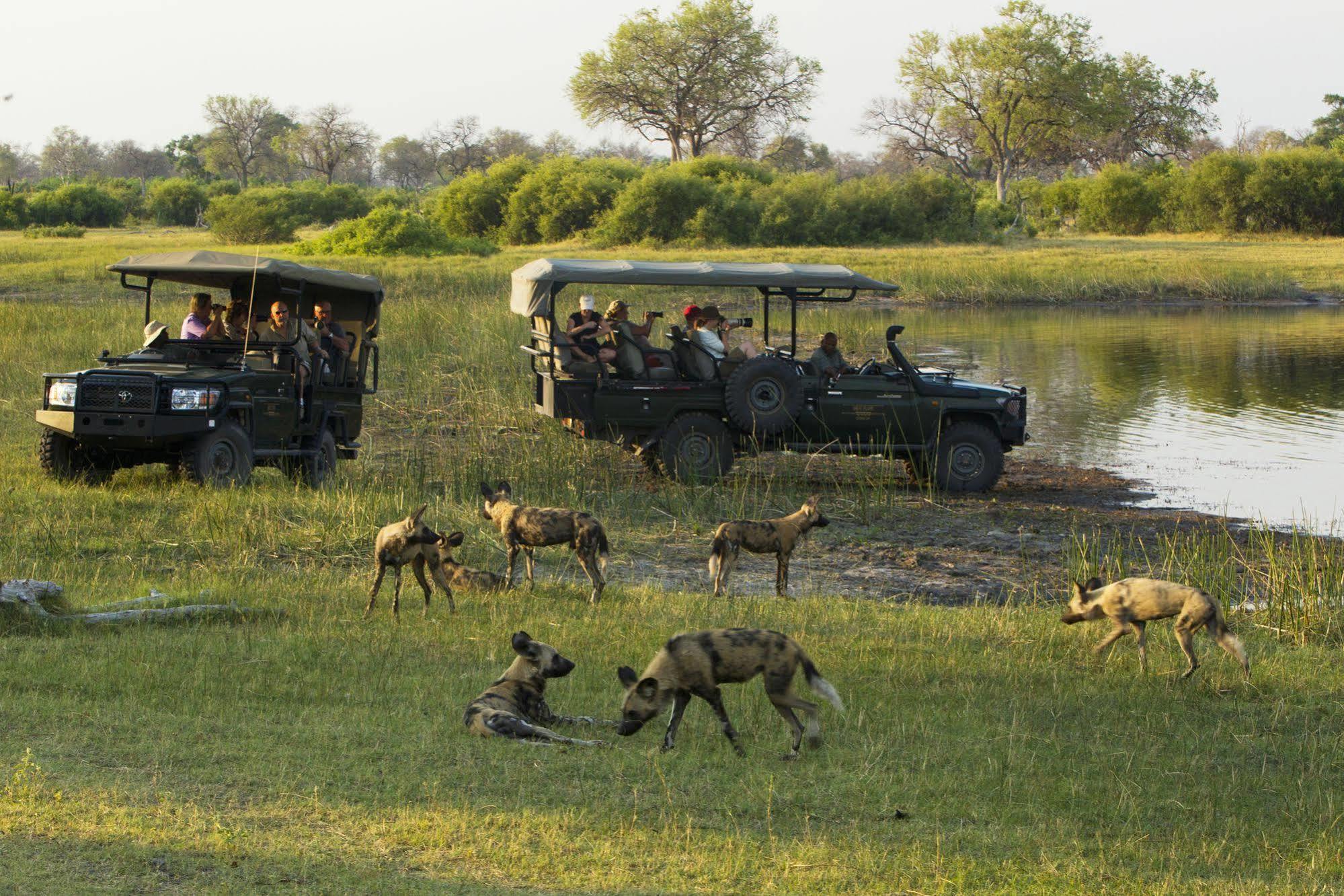 Selinda Camp Hotel Selinda Reserve Kültér fotó